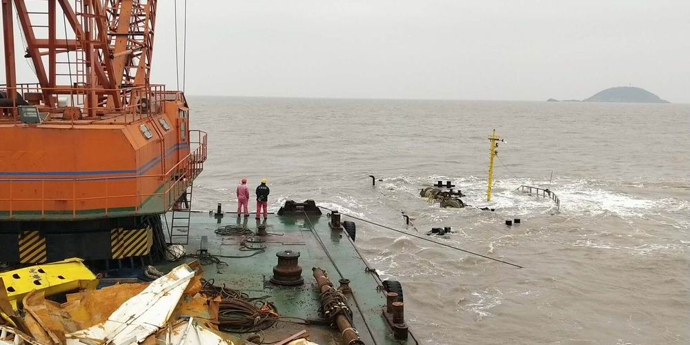 2019��2��ʢ8669���w���